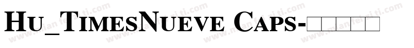 Hu_TimesNueve Caps字体转换